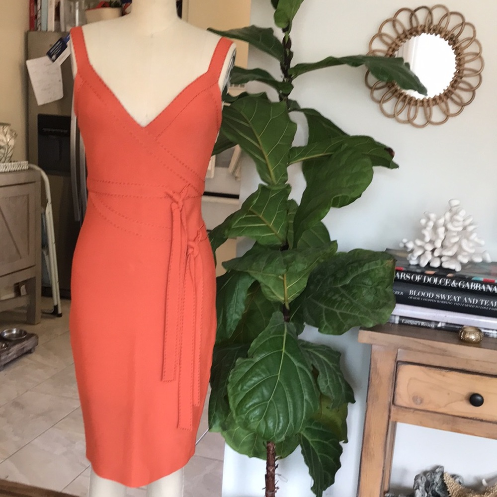 Mint HERVE LEGER sz M knee length bandage dress